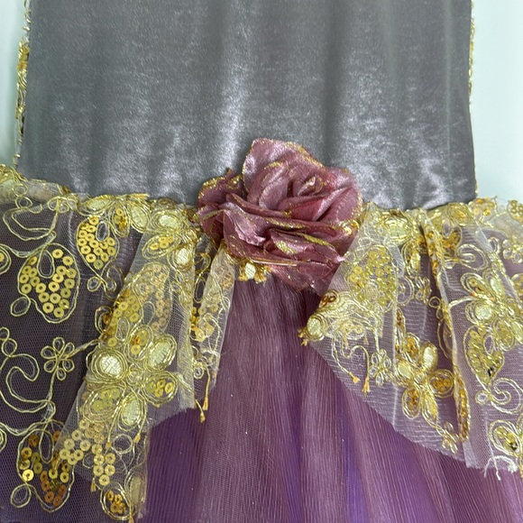 Purple Pointe leotard Tutu Dress Dance Costume Large - Picture 6 of 10